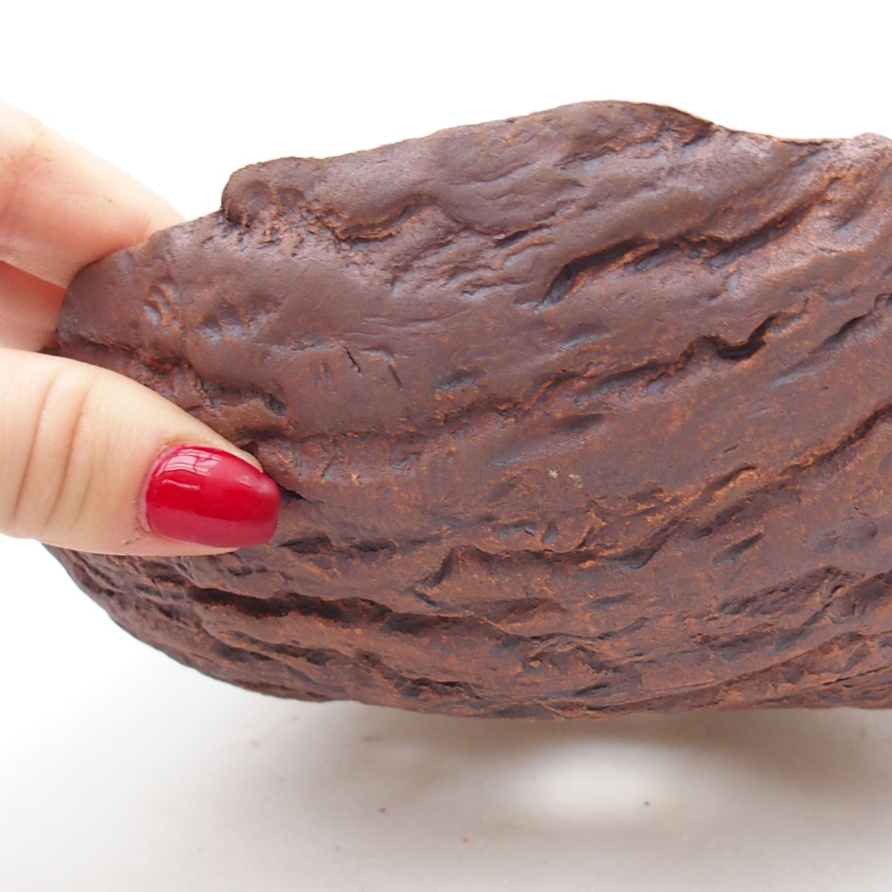 Keramisch Schelp 19 x 19 x 6,5 cm , kleur bruin