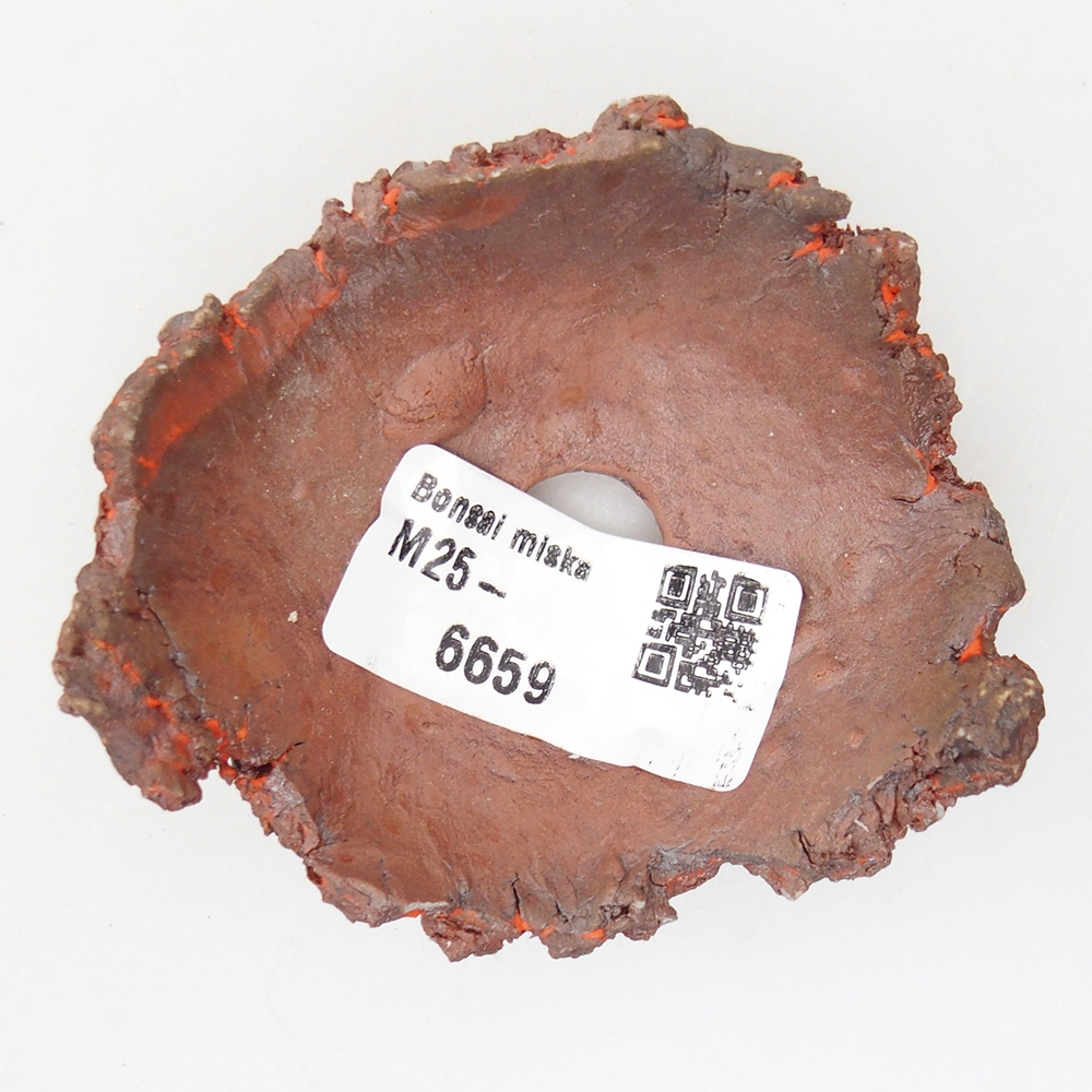 Schelp van keramiek 7 x 7 x 3 cm , kleur oranje