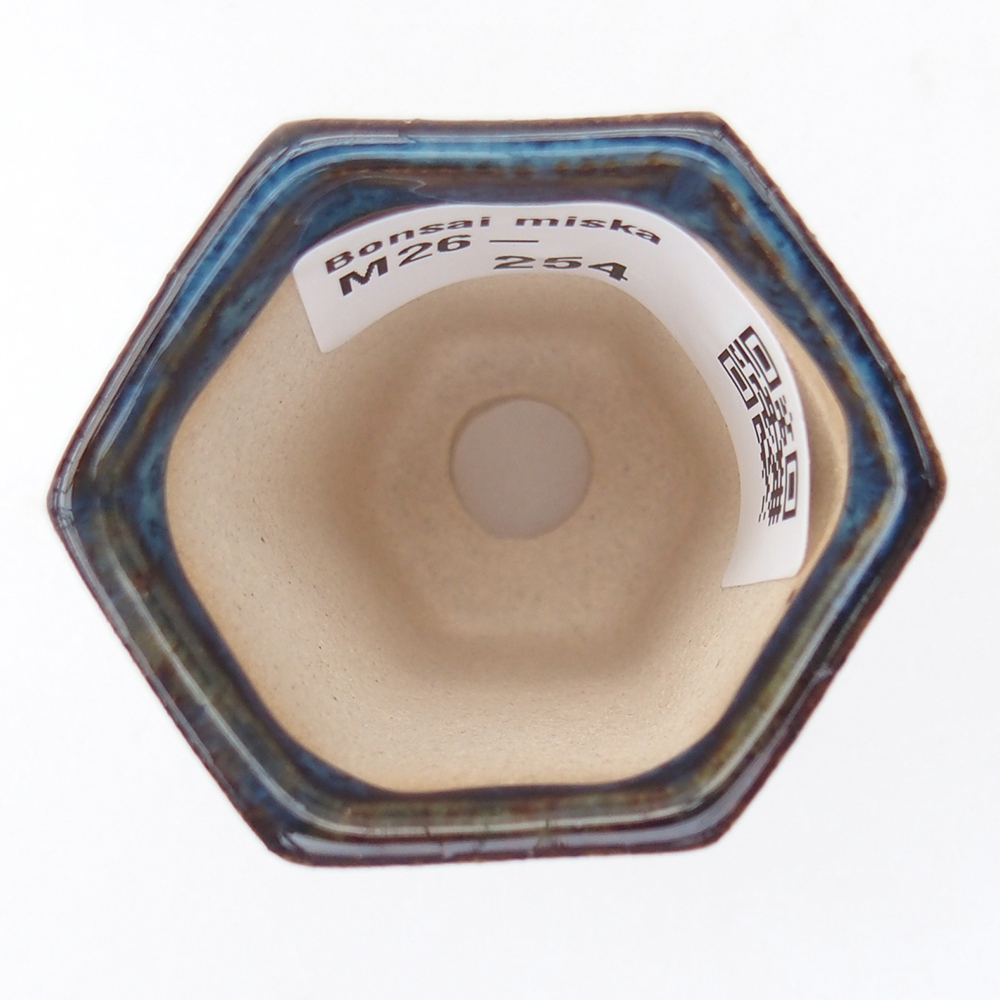 Mini bonsaischaal 4 x 3,5 x 5,5 cm, kleur blauw