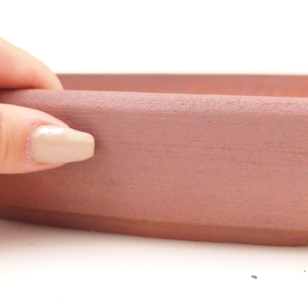 Bonsaischaal 48,5 x 31 x 4,5 cm , kleur bruin - UITSLUITEND PERSOONLIJK AFHALEN OF PALLETVERVOER