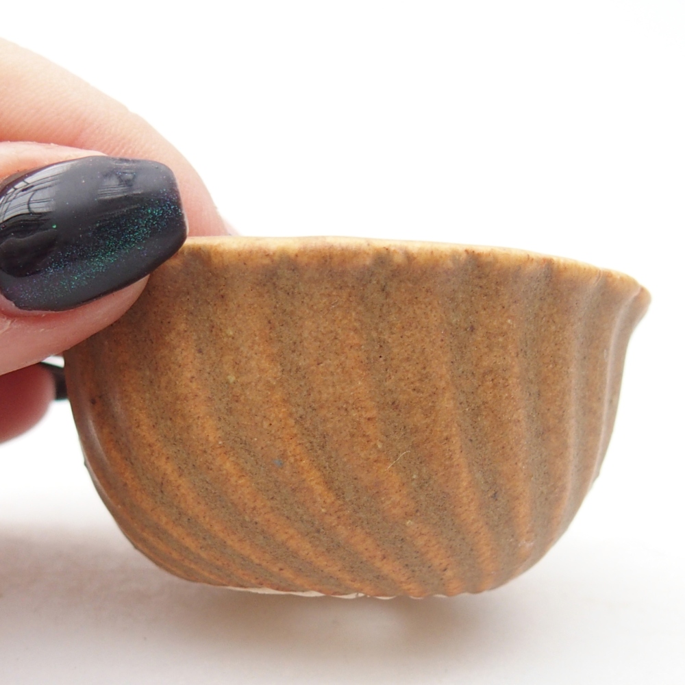 Mini bonsaischaal 5,5 x 5,5 x 3 cm, bruin