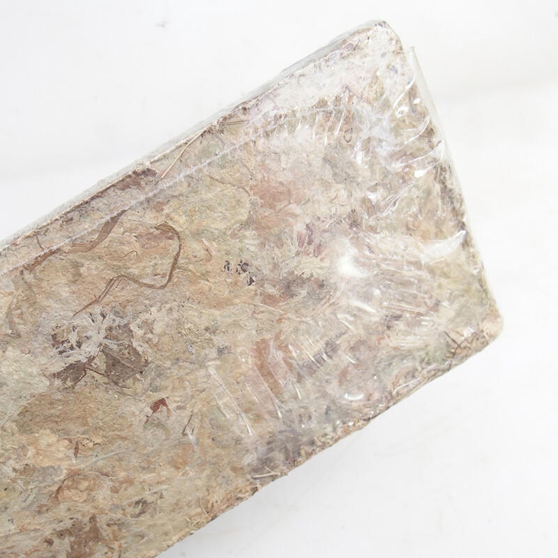 Sphagnum - veenmos 100 gr