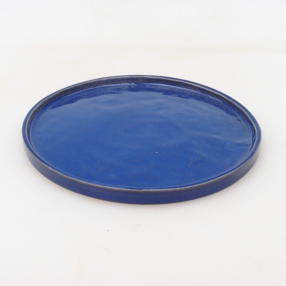 Ronde Bonsai Container D7-S - 16 x 16 x 1 cm - blauw