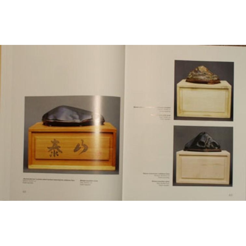 Suiseki, Gongshi, Suseok - Igor Bárta