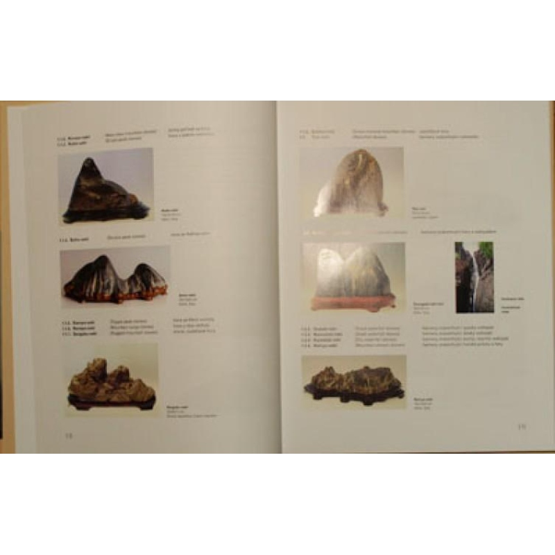 Suiseki, Gongshi, Suseok - Igor Bárta