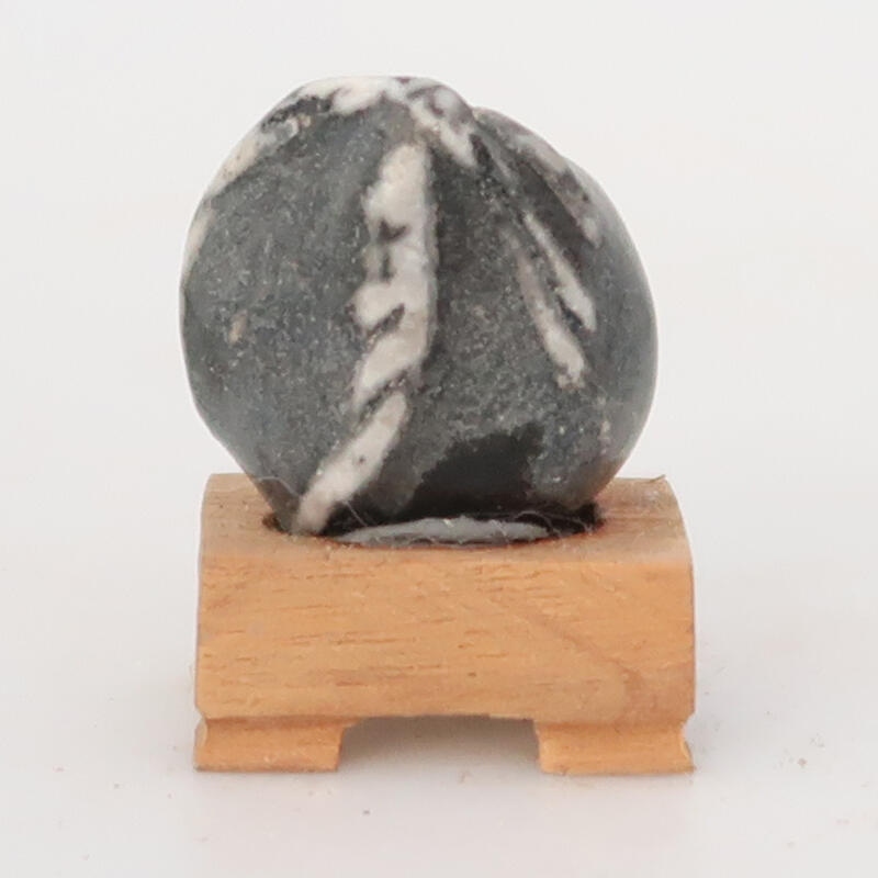 Suiseki - Steen met DAI (houten basis)