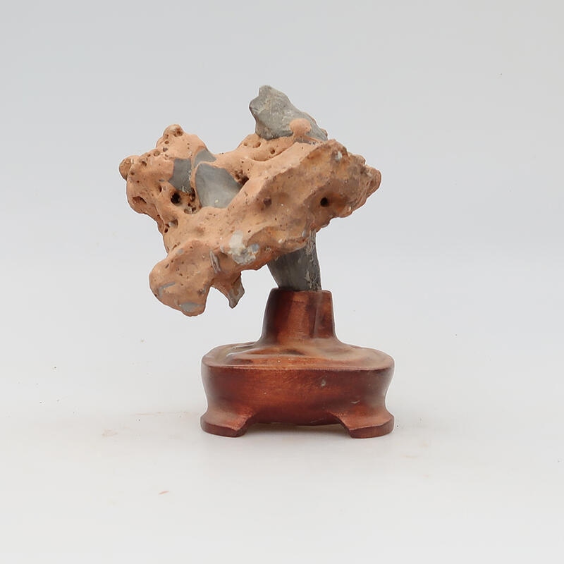 Suiseki - Steen met DAI (houten basis)