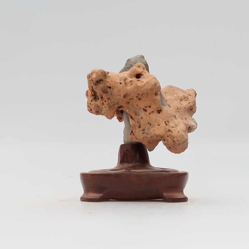 Suiseki - Steen met DAI (houten basis)