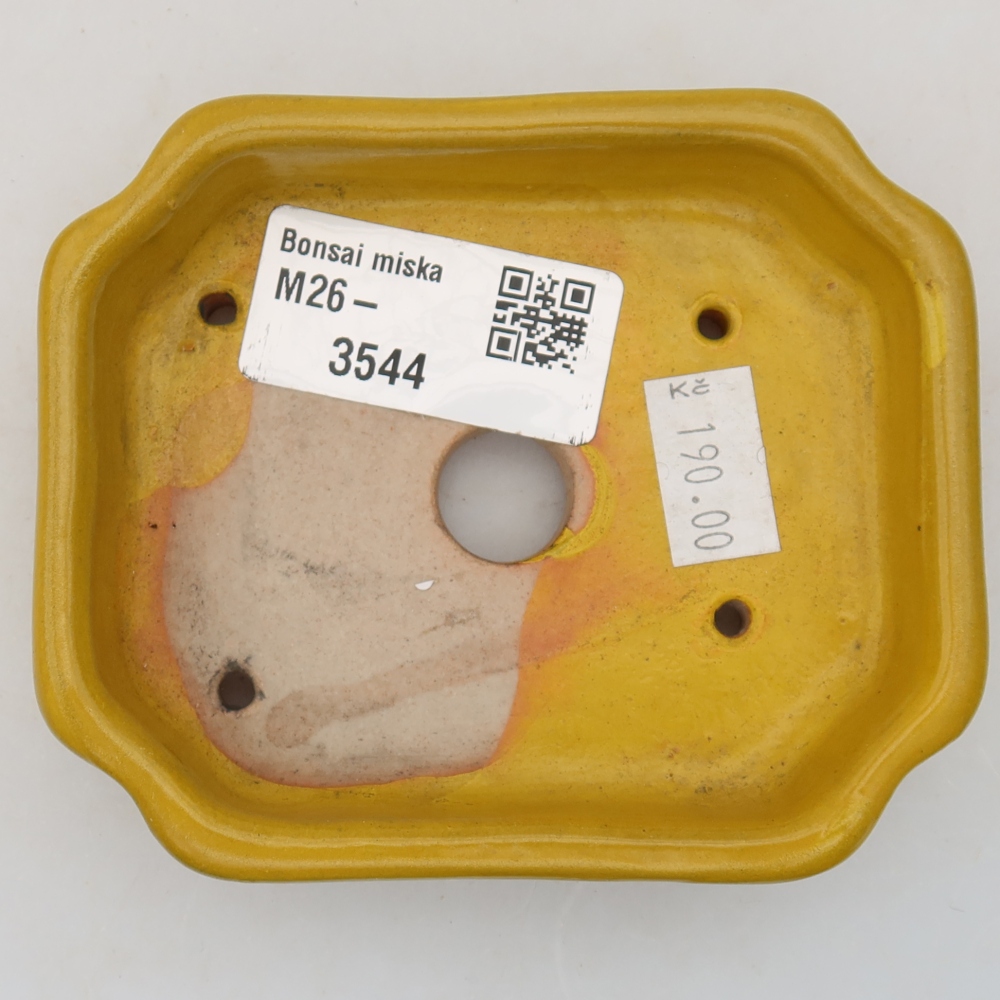 Keramische bonsaipot 10 x 8 x 2,5 cm, kleur: geel