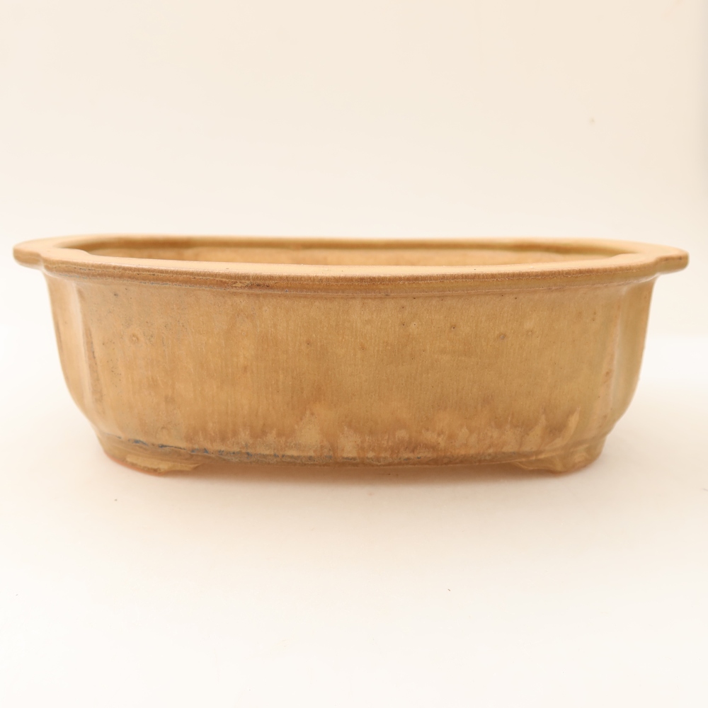 Keramische bonsaipot 24,5 x 21 x 7,5 cm, kleur: beige
