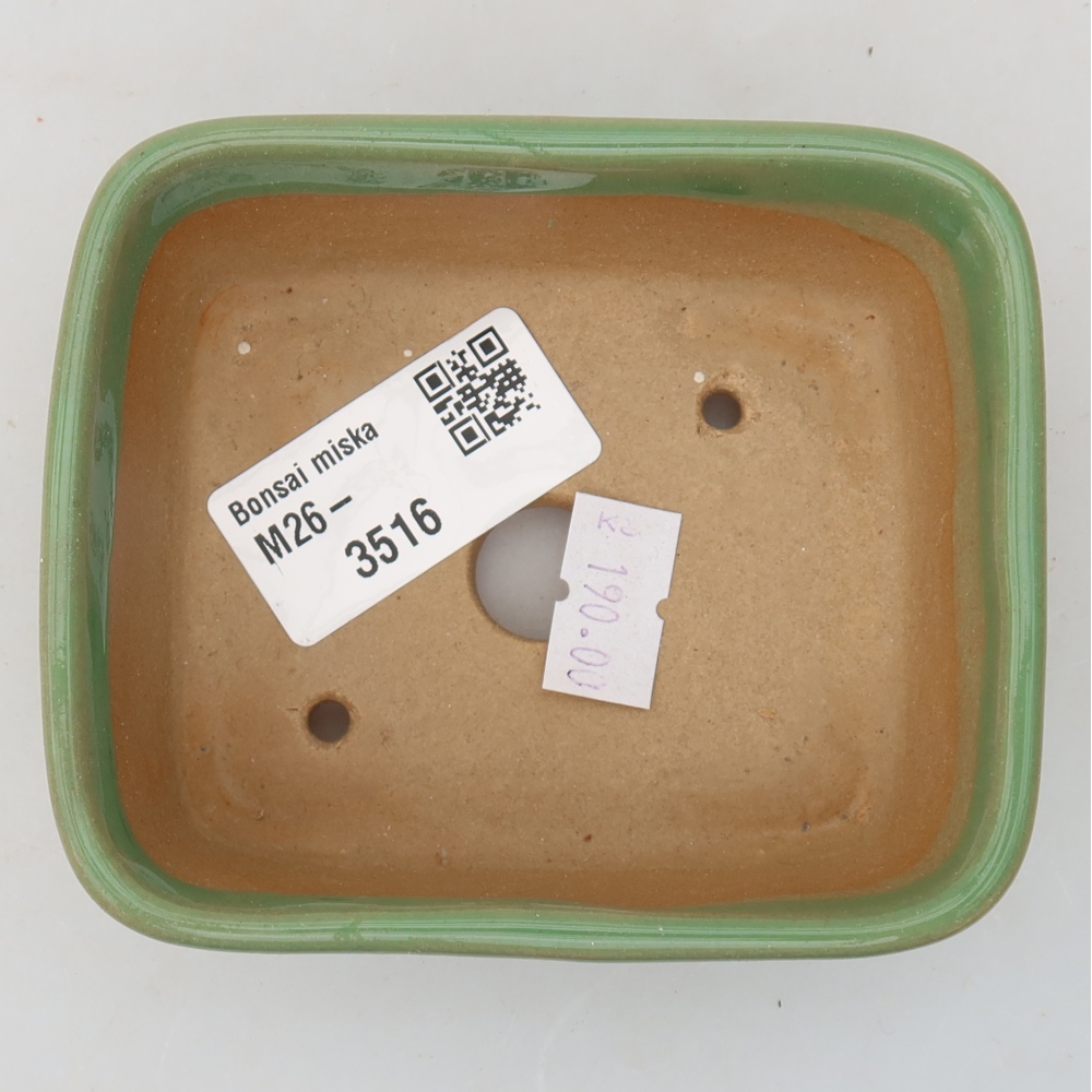 Keramische bonsaipot 10 x 8 x 3,5 cm, kleur groen