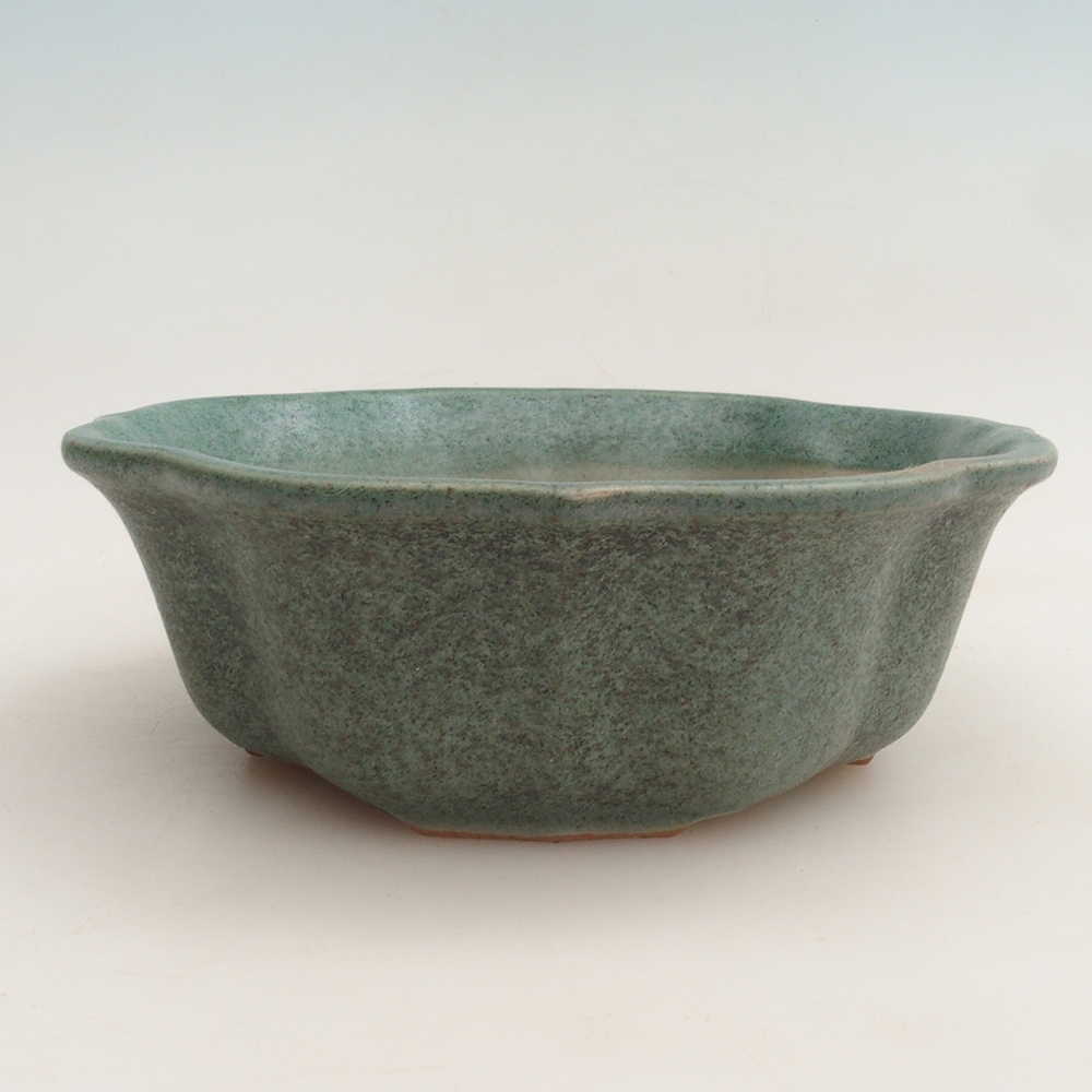 Bonsaischaal H06 - 14,5 x 14,5 x 5 cm.