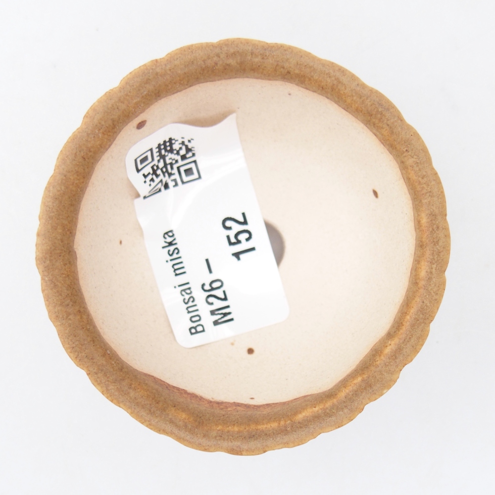 Mini bonsaischaal 5,5 x 5,5 x 3 cm, bruin