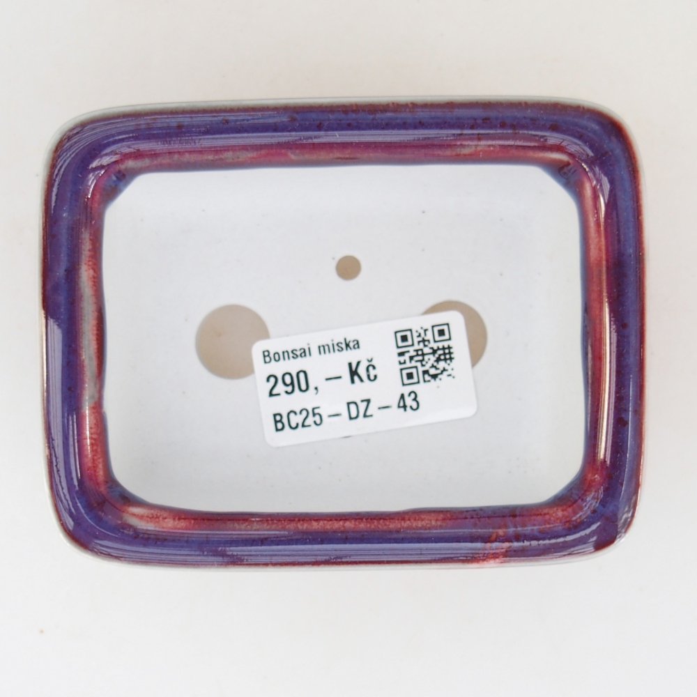 Mini bonsaischaal 10 x 8 x 3,5 cm, kleur paars