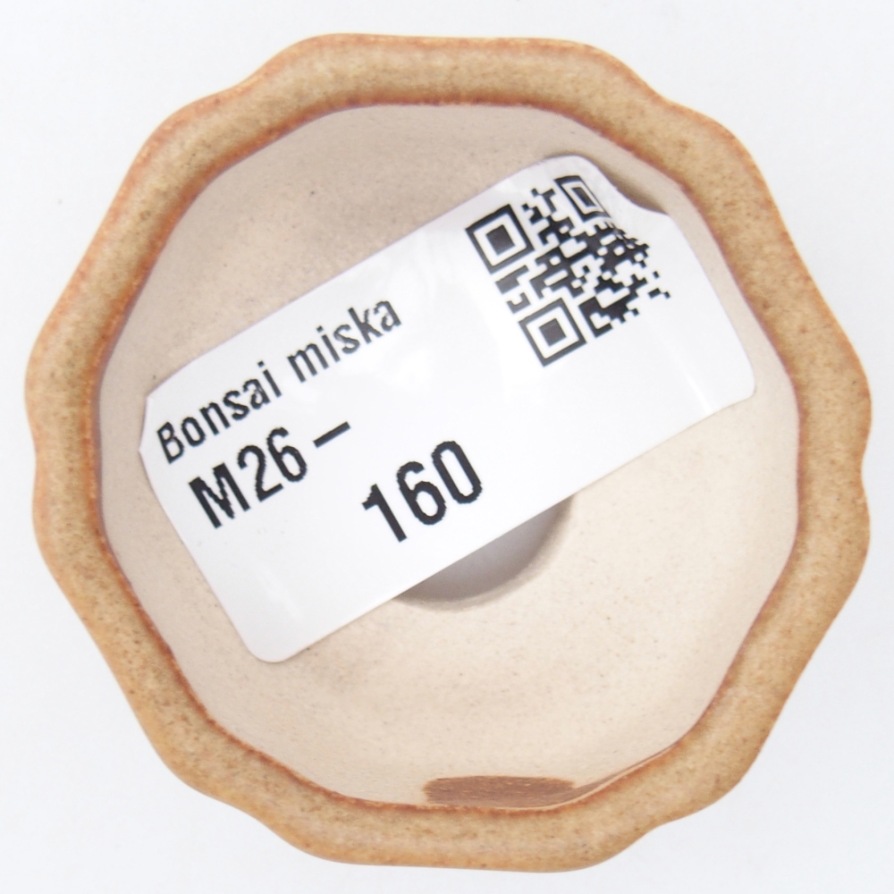 Mini bonsaischaal 4,5 x 4,5 x 2,5 cm, bruin