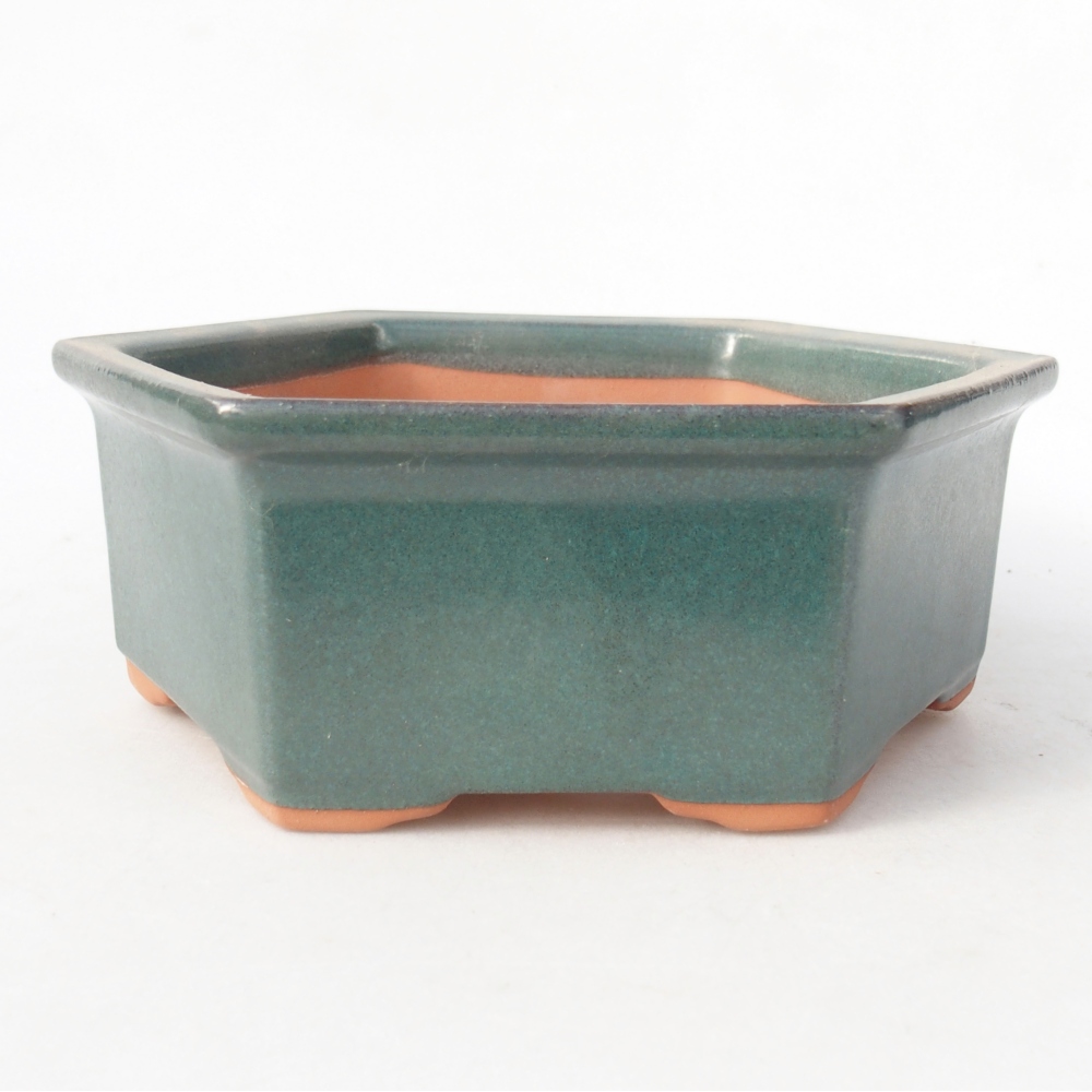 Kom 17 x 15 x 6 cm groen