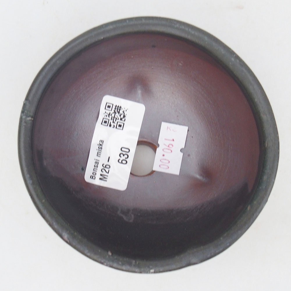 Bonsaischaal van keramiek 125 x 10 x 3 cm, bruin