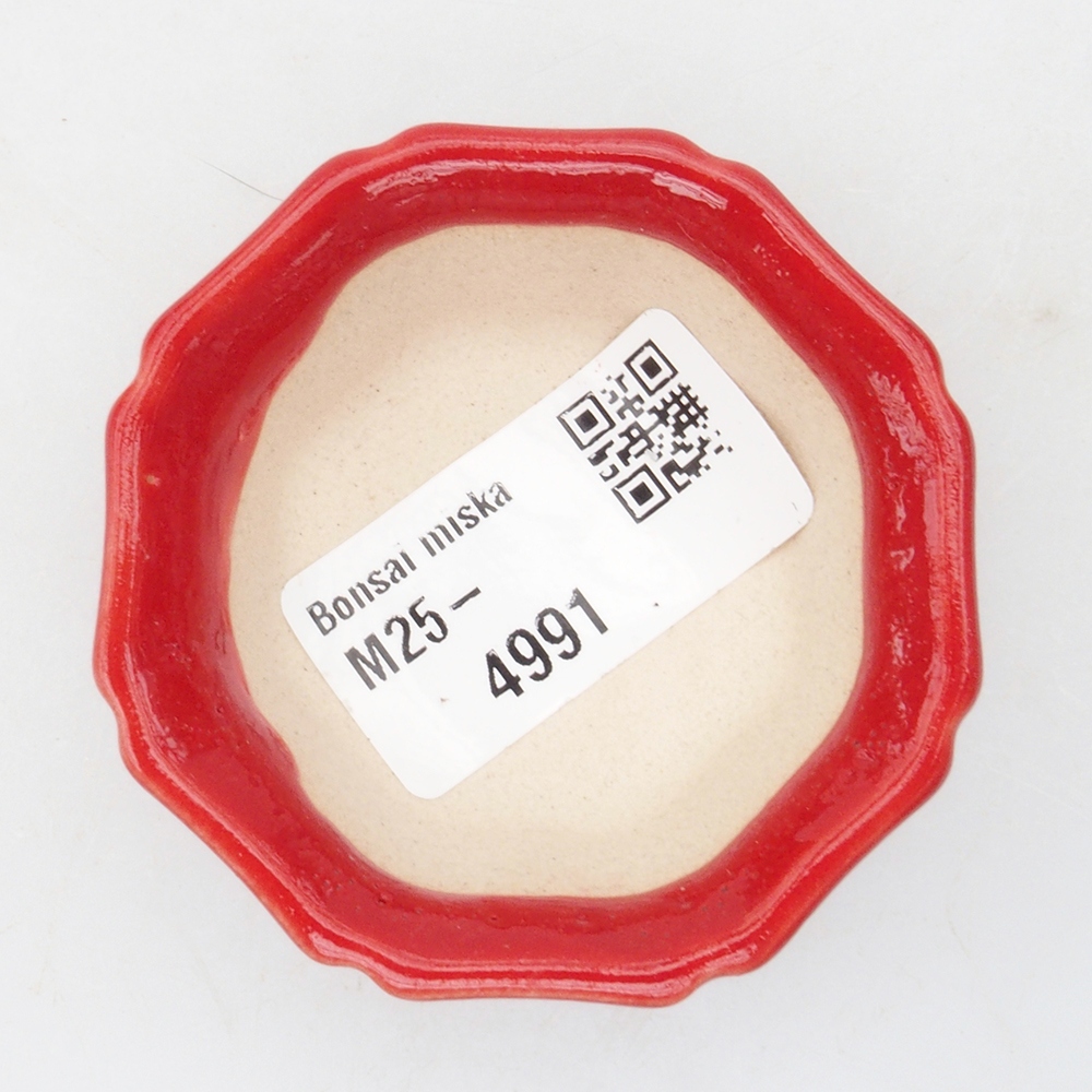 Mini bonsaischaal 6 x 6 x 2 cm, kleur rood