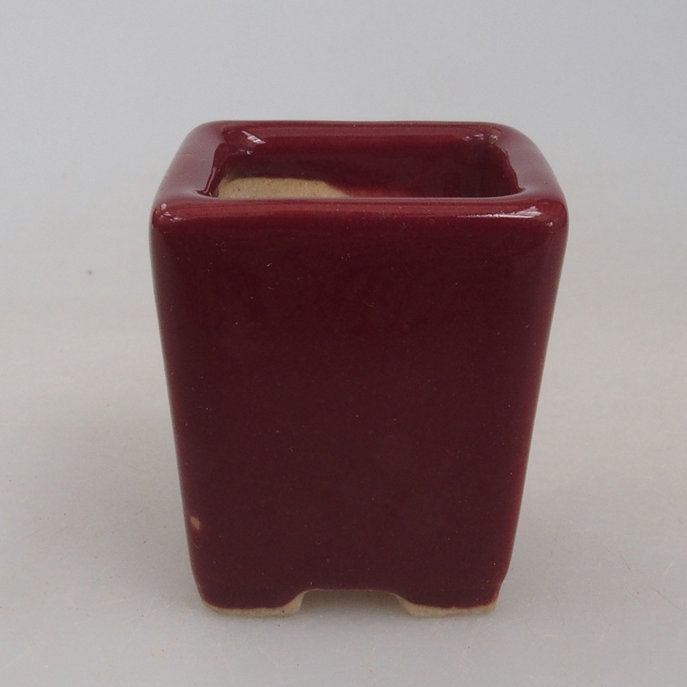 Mini bonsaischaal 3 x 3 x 3,5 cm, bordeauxrood