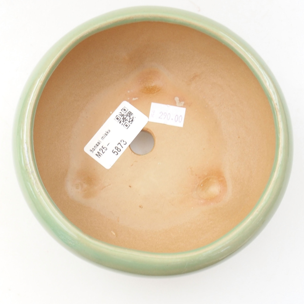 Bonsaischaal van keramiek 22 x 17 x 5 cm, groen