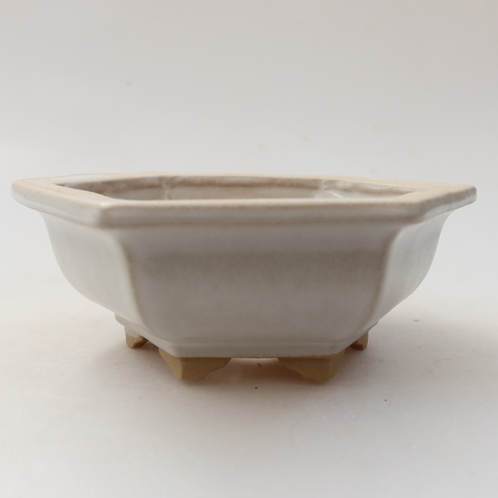 Keramische bonsaipot 12 x 10,5 x 4,5 cm, kleur: wit