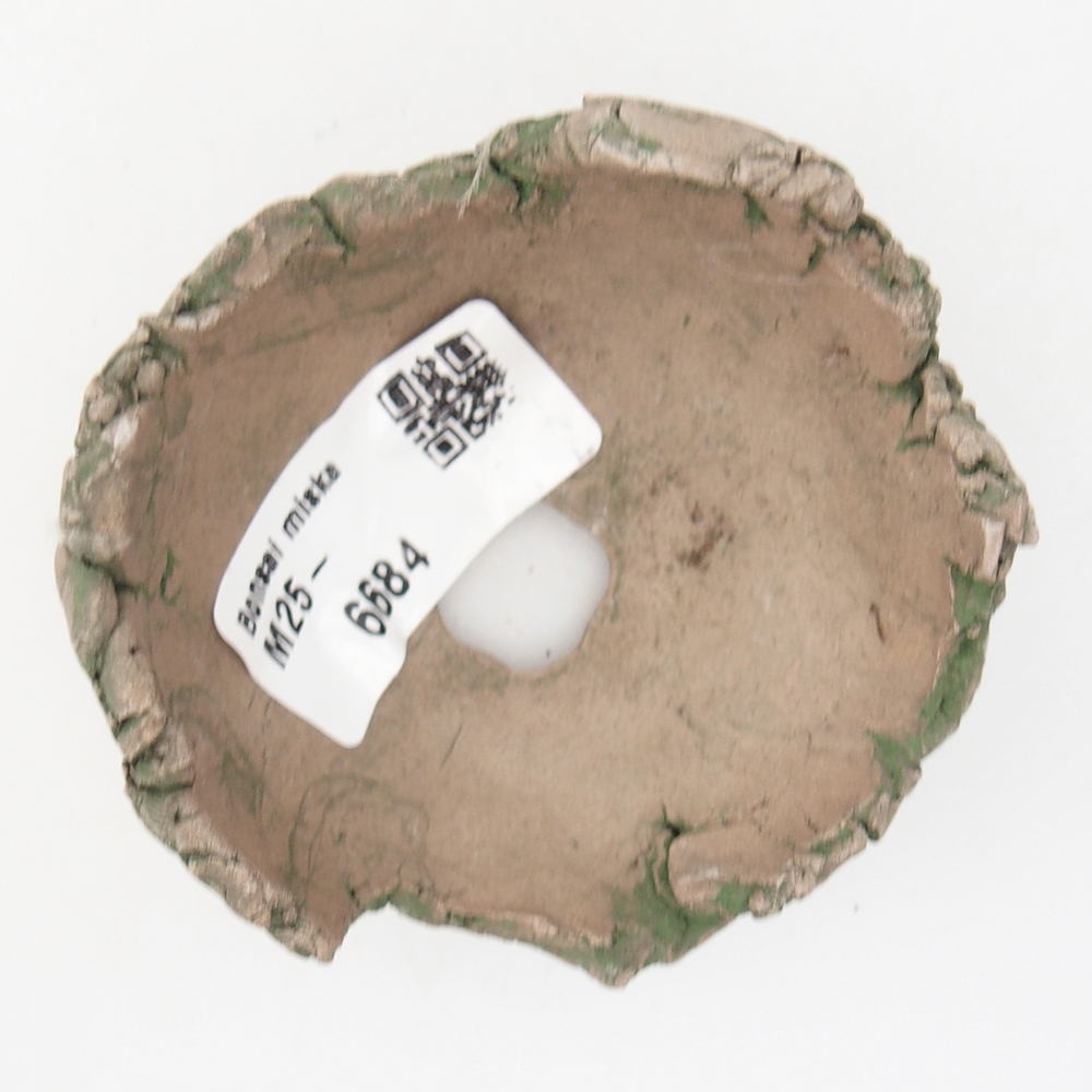 Keramische schelp 7 x 7 x 4 cm , kleur groen