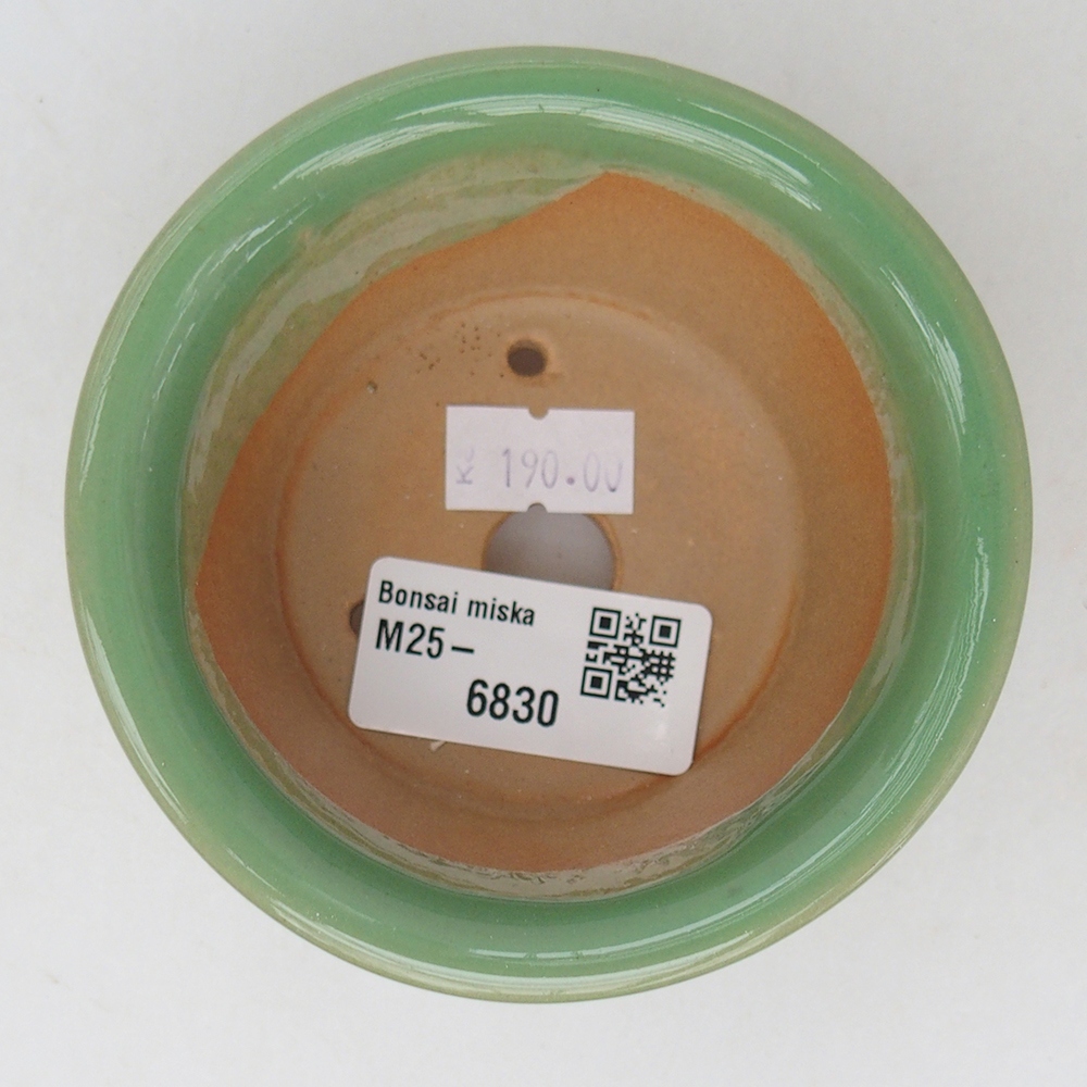 Bonsaischaal van keramiek 9 x 9 x 5 cm, groen