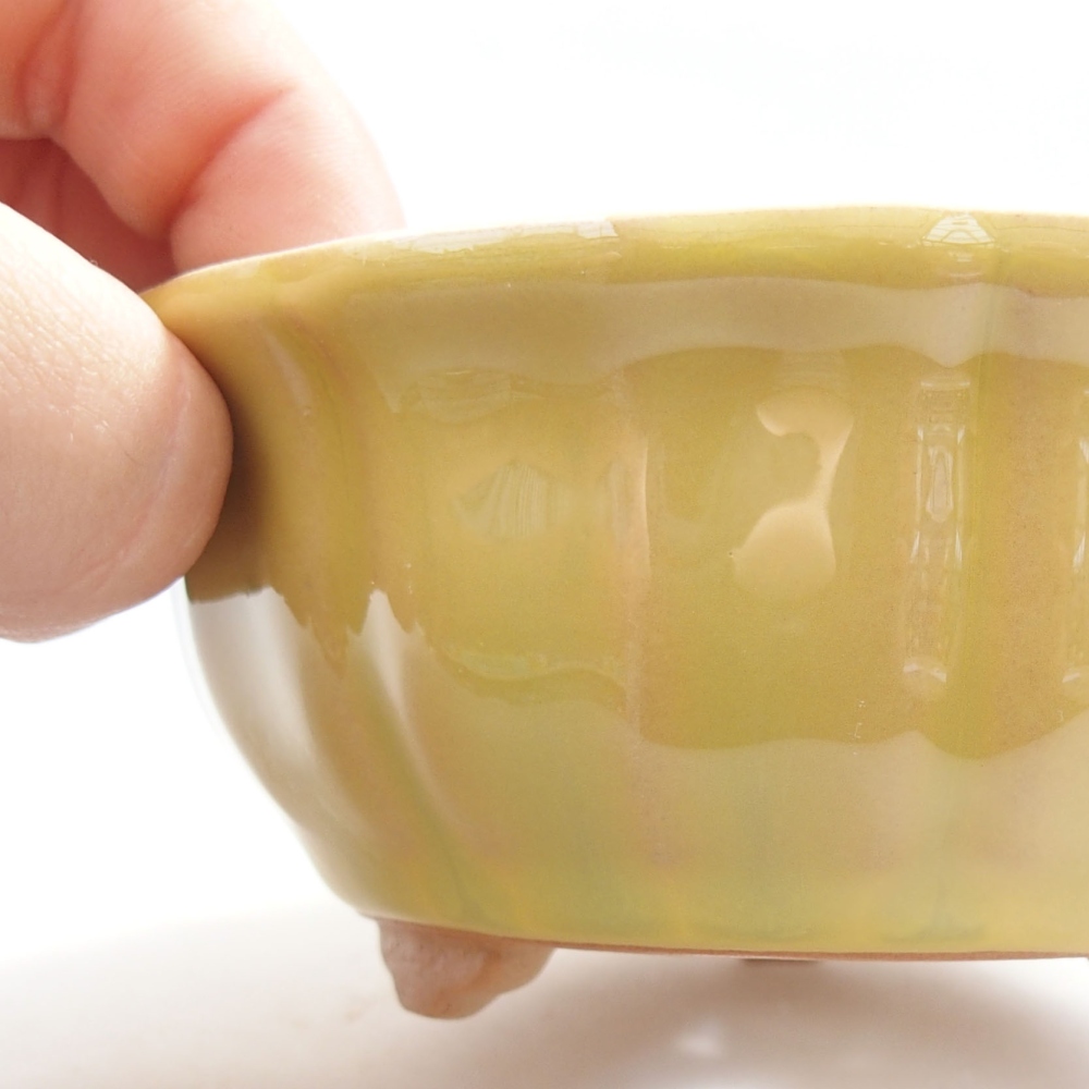 Bonsaischaal van keramiek 22 x 17 x 5 cm, groen