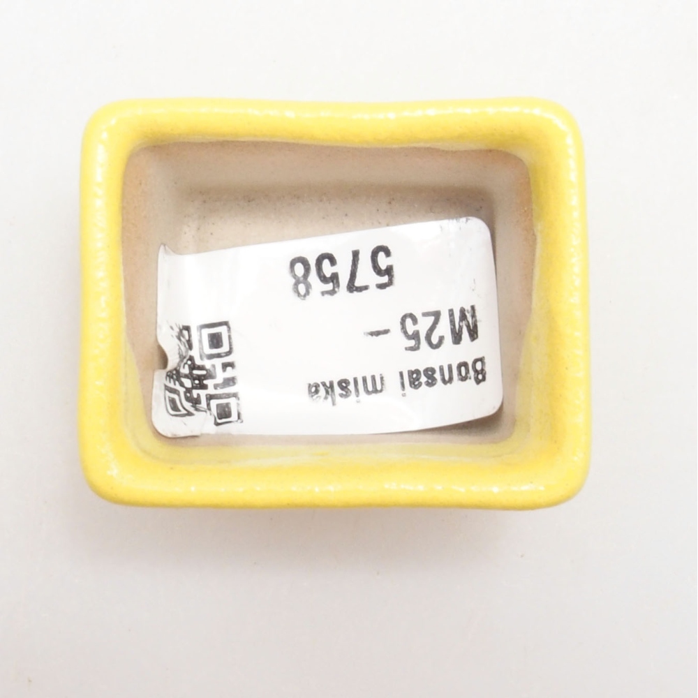 Bonsaischaaltje van keramiek 4 x 3,5 x 2,5 cm, geel