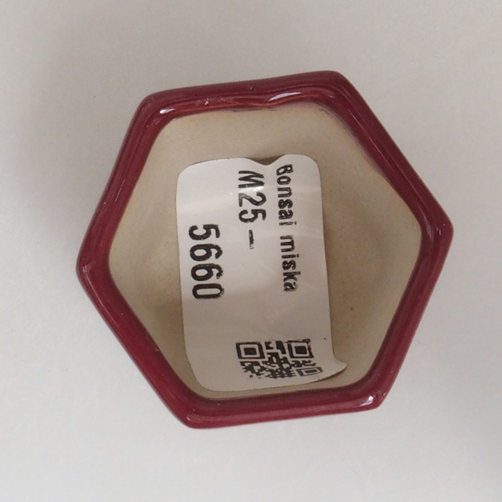 Mini bonsaischaal 4 x 4 x 3,5 cm, bordeauxrood
