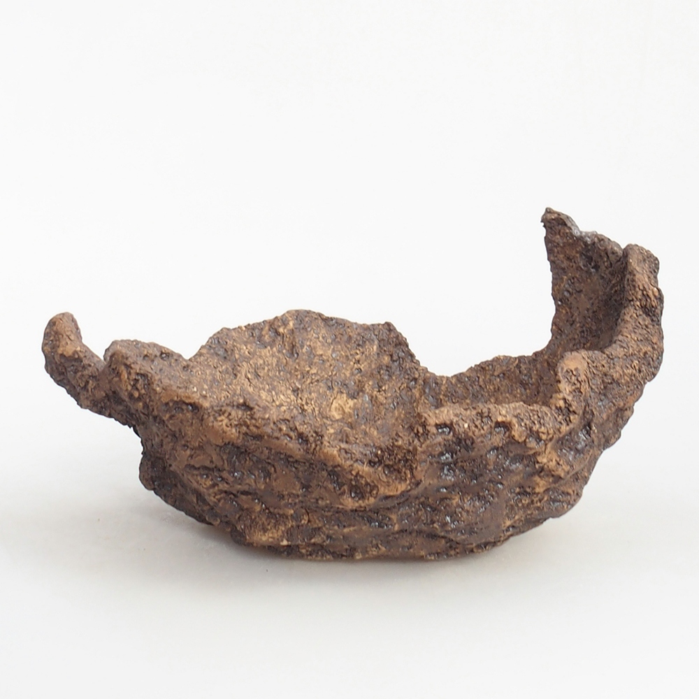 Keramisch Schelp 18 x 18 x 12 cm , kleur bruin