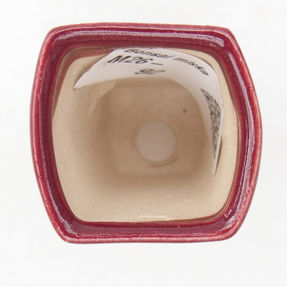 Mini bonsaischaal 3,5 x 3 x 5,5 cm, kleur bordeauxrood