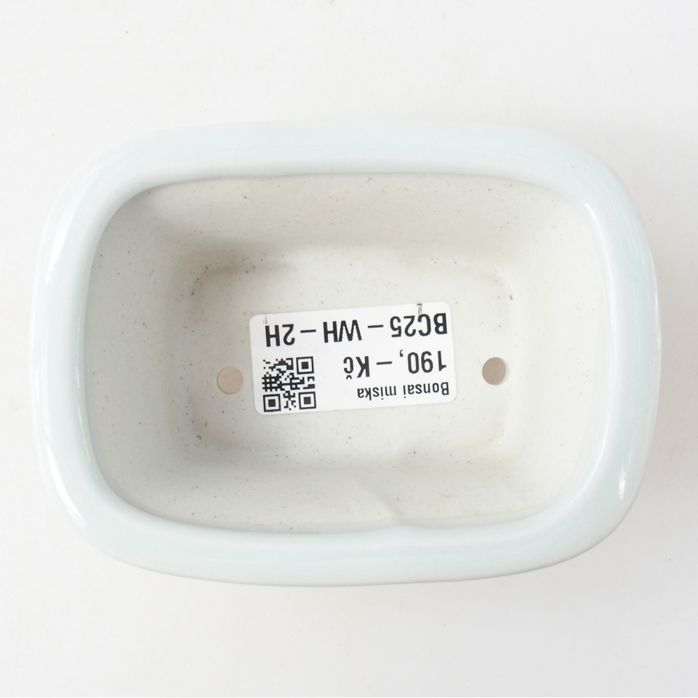 Mini bonsaischaal 10 x 7,5 x 4 cm, kleur wit
