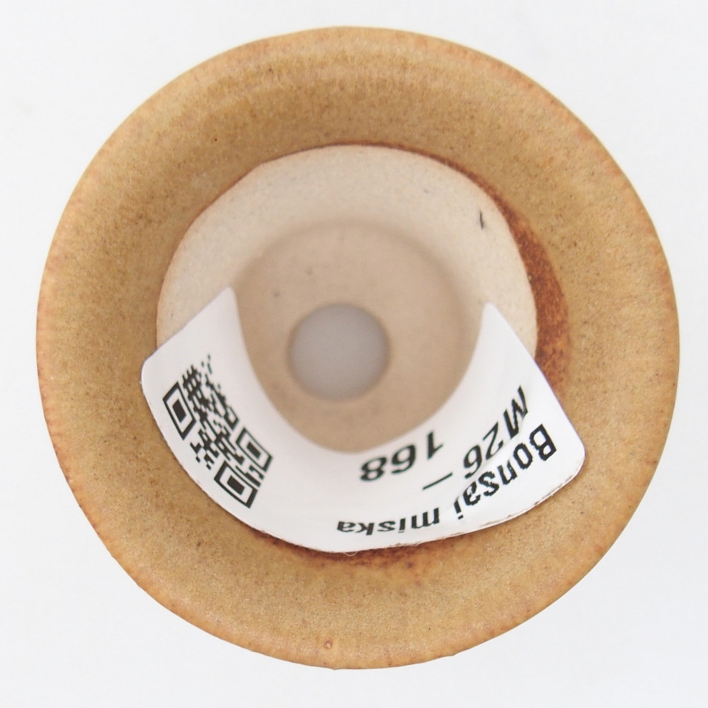 Mini bonsaischaal 4,5 x 4,5 x 4 cm, bruin