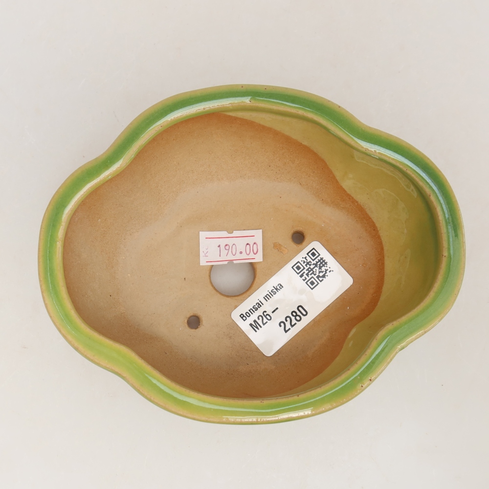 Keramische bonsaipot 12,5 x 10,5 x 4,5 cm, kleur groen