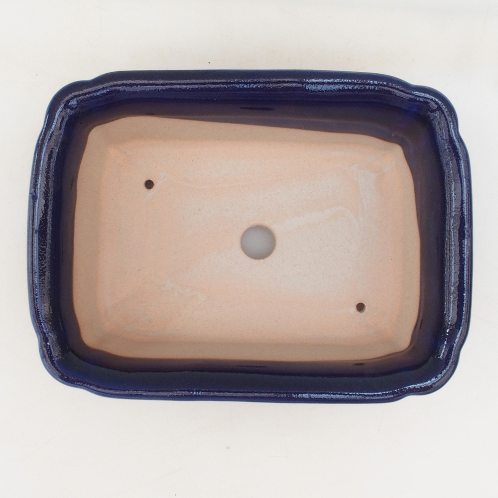 Bonsaischaal H50 - 17 x 12,5 x 5,5 cm - blauw