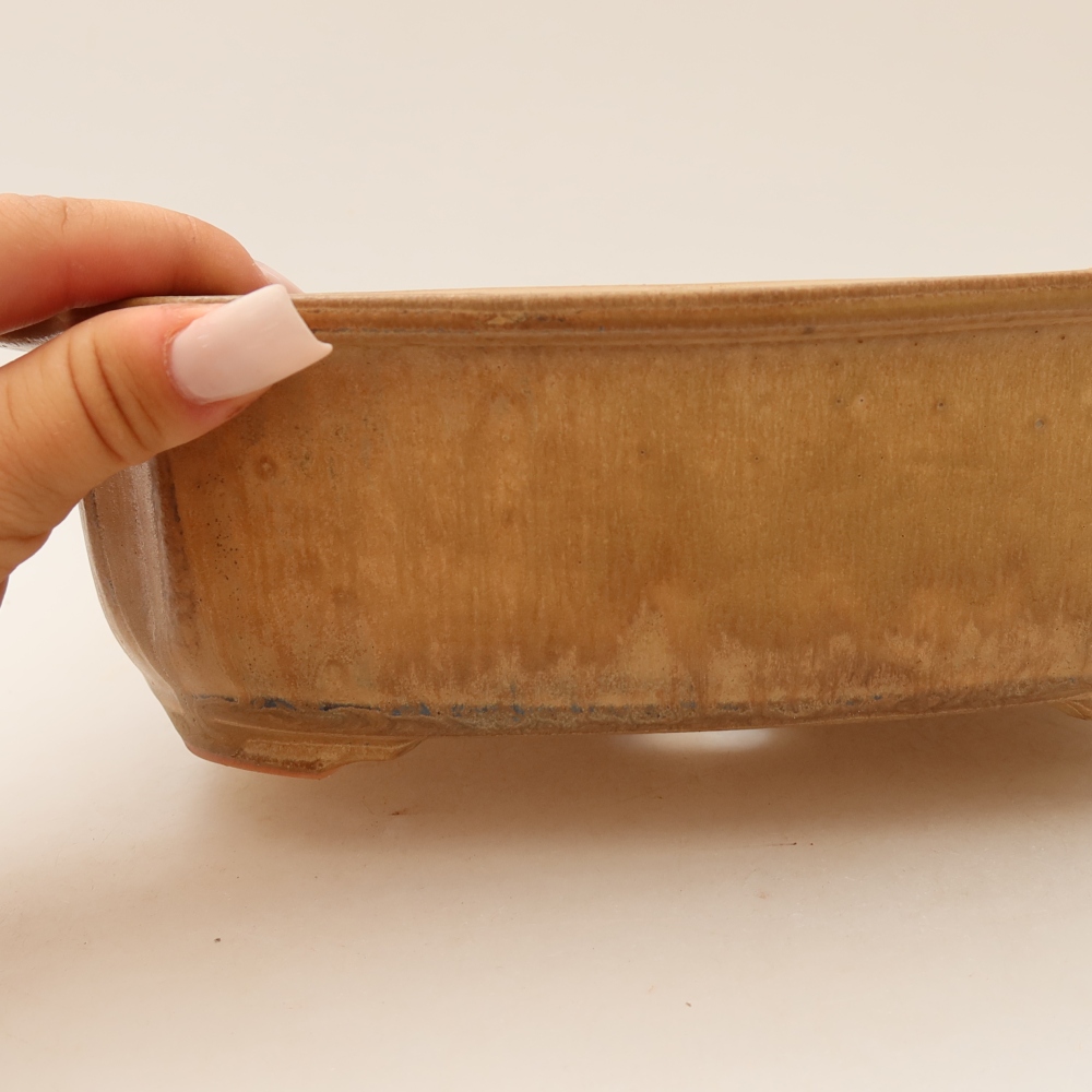 Keramische bonsaipot 24,5 x 21 x 7,5 cm, kleur: beige