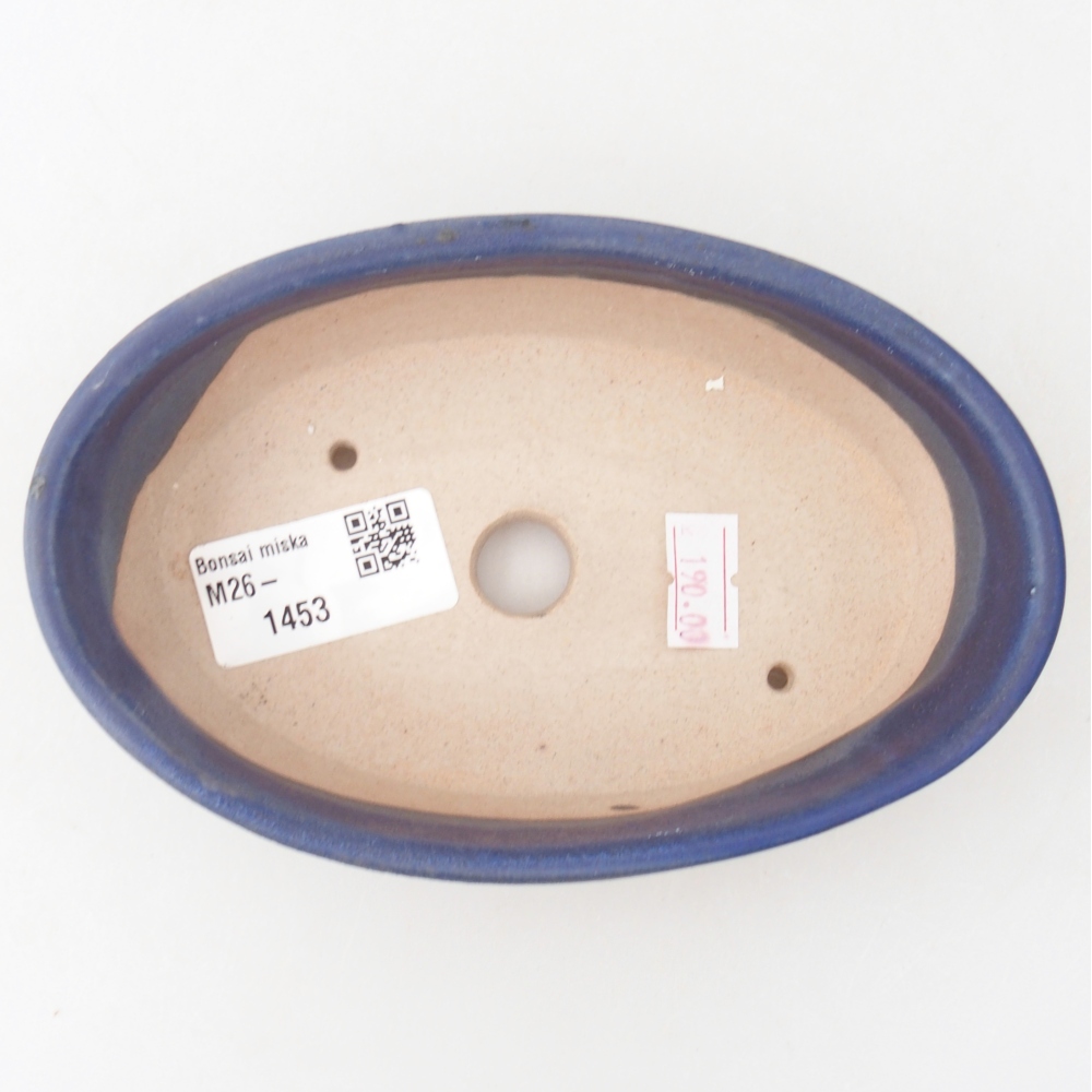 Bonsaischaal van keramiek 15 x 9,5 x 4 cm, kleur blauw