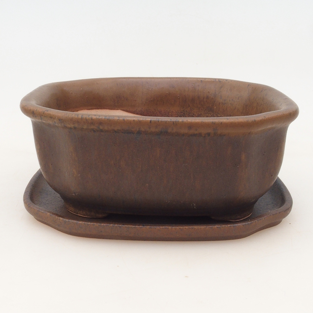 Bonsai kom + schotel H32 - bruin