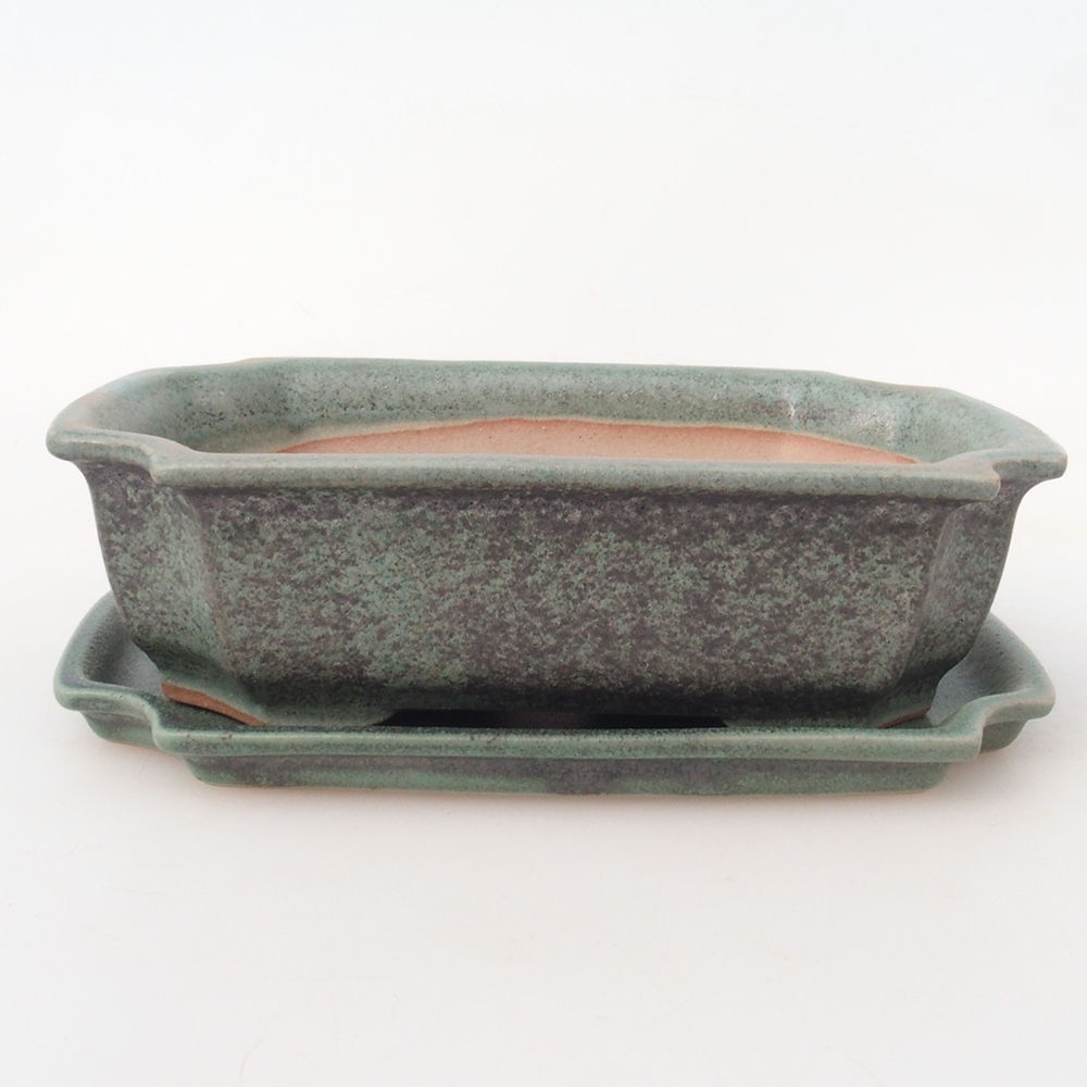 Bonsaischaal + schotel H17 - 15 x 10 x 4 cm.