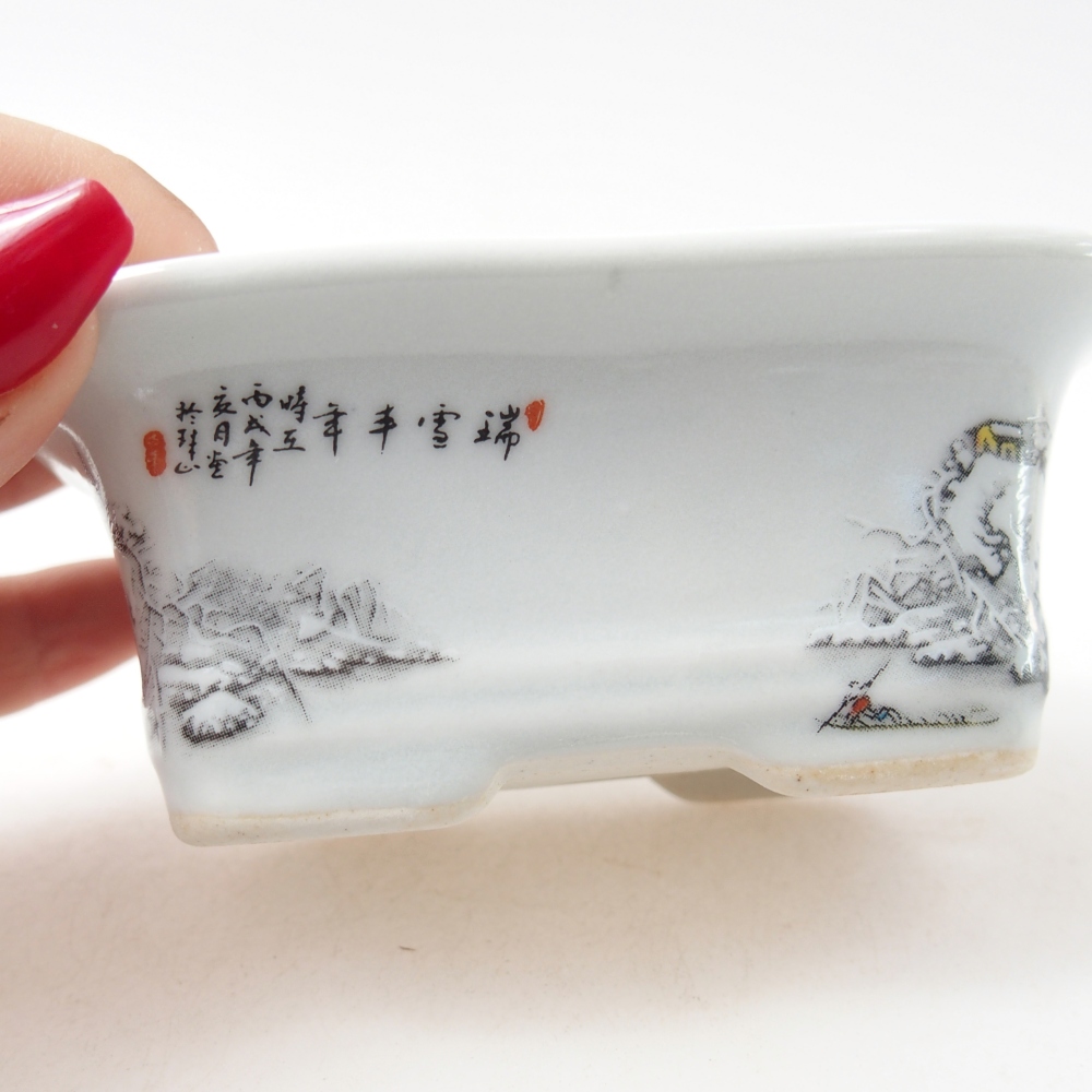 Mini bonsaischaal 10 x 7,5 x 4 cm, kleur wit