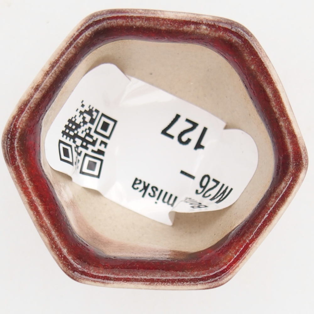 Mini bonsaischaal 4 x 4 x 3 cm, kleur rood