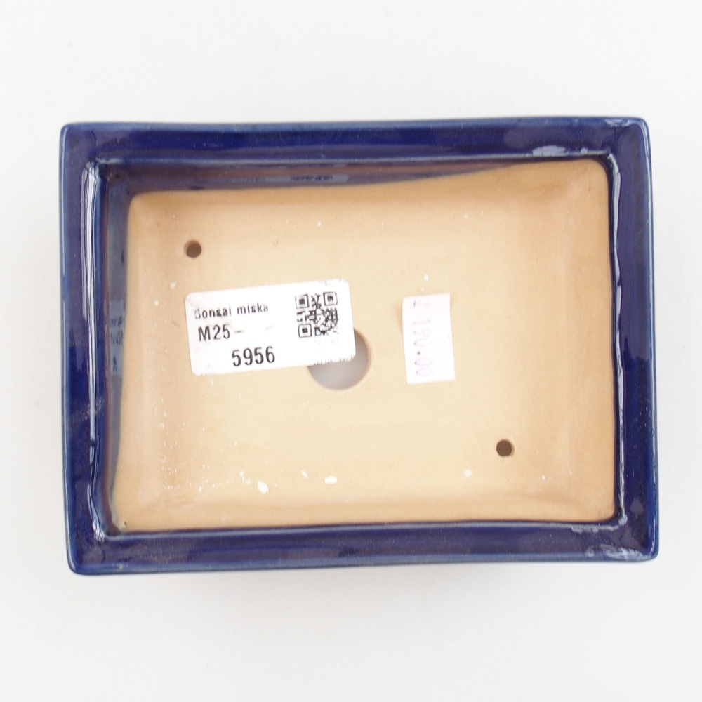 Bonsaischaal van keramiek 22 x 17 x 5 cm, groen