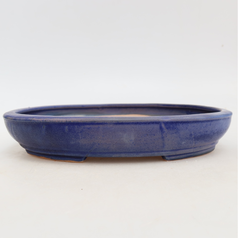 Bonsaischaal van keramiek 24,5 x 20 x 4 cm, kleur blauw