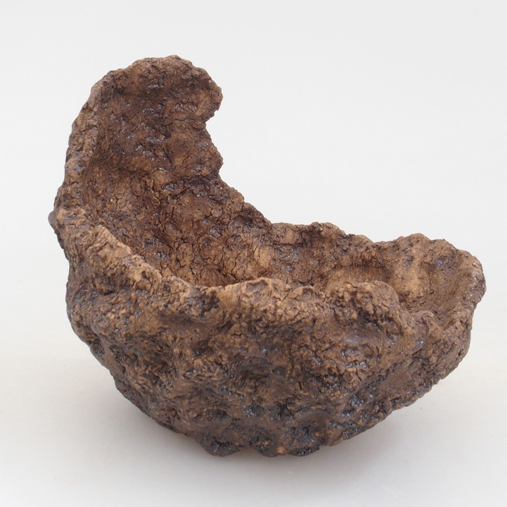 Schelp van keramiek 10 x 8 x 10 cm , kleur bruin