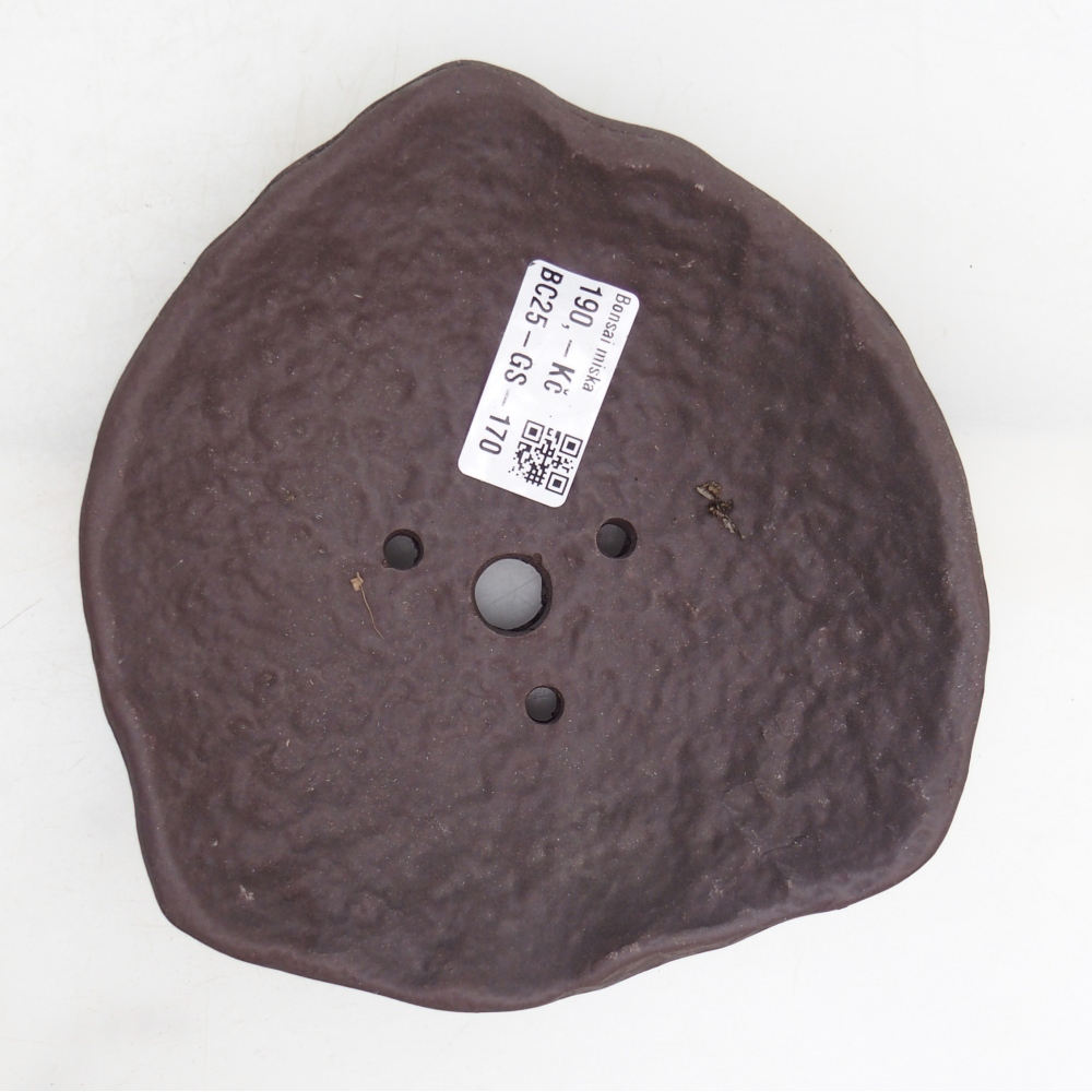 Keramisch Schelp 15,5 x 15 x 4 cm , kleur bruin