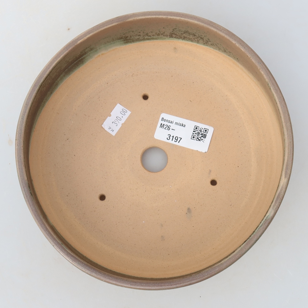 Keramische bonsaipot 18 x 18 x 6,5 cm, kleur: beige