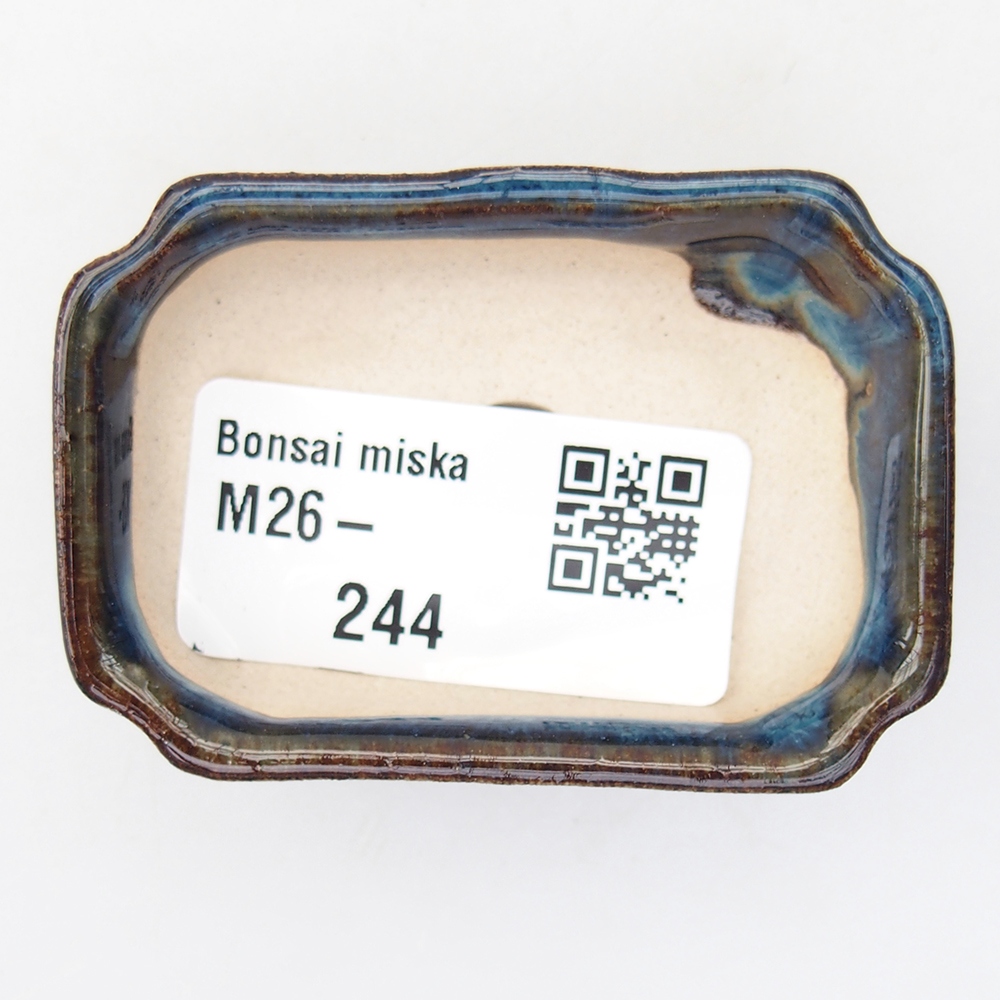 Mini bonsaischaal 6 x 4 x 1,5 cm, kleur blauw