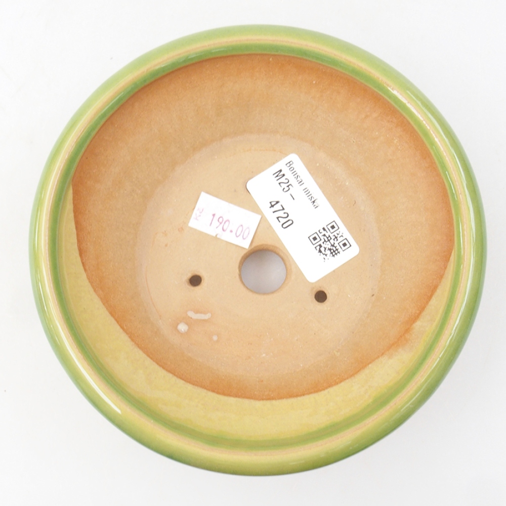 Bonsaischaal van keramiek 13,5 x 13,5 x 5 cm, groen