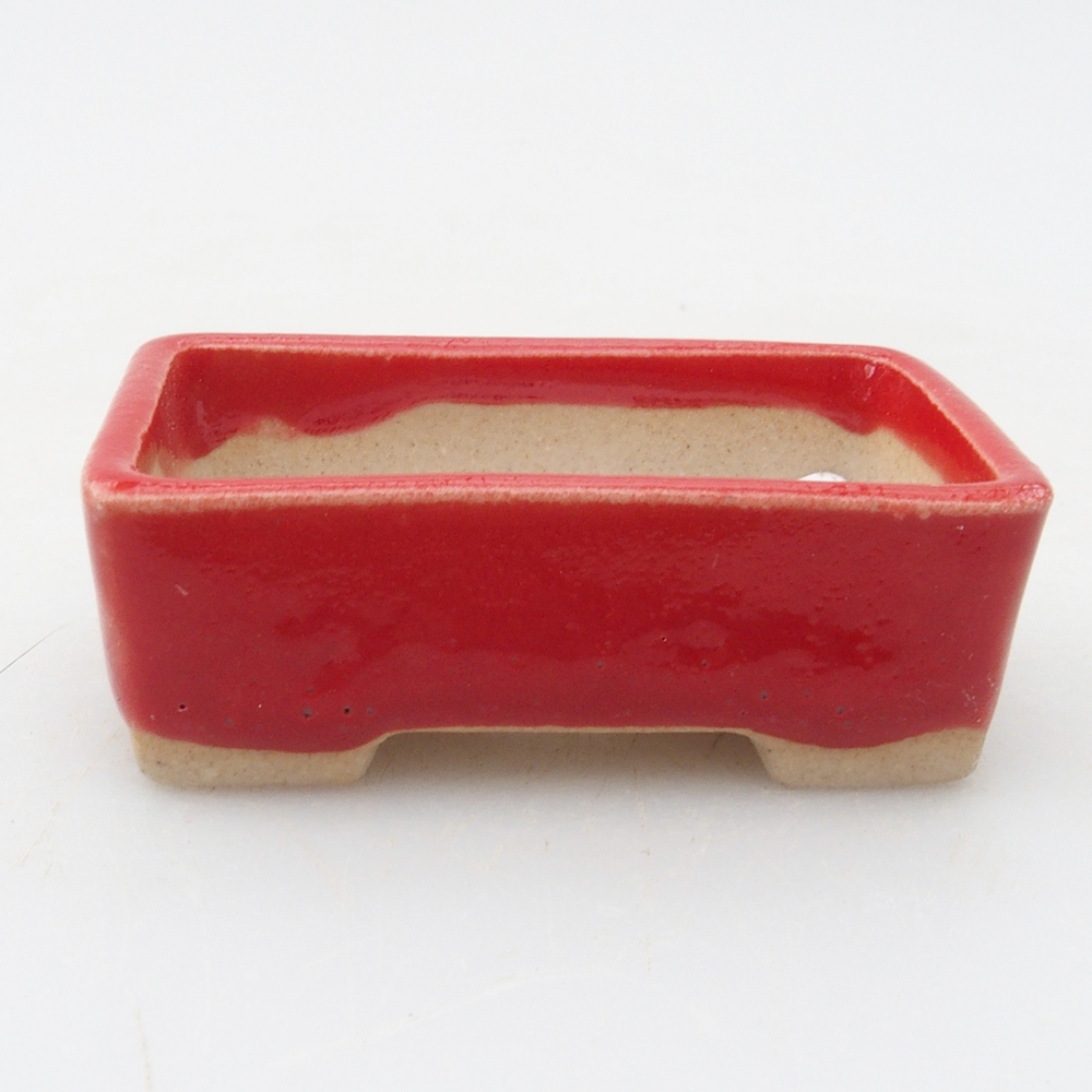 Mini bonsaischaal 5 x 3 x 2 cm, kleur rood